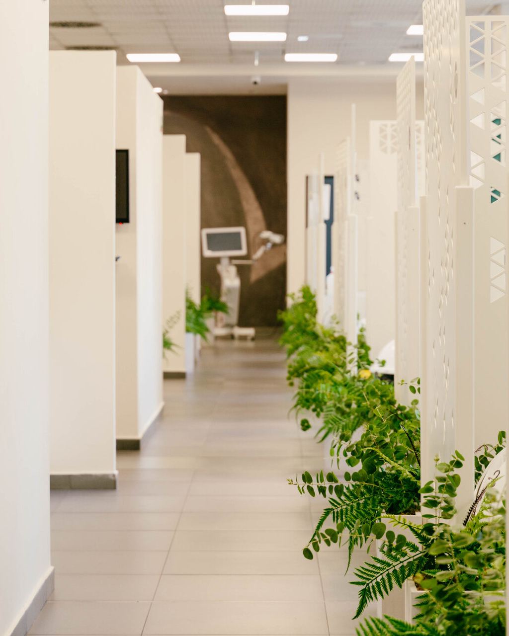 Modern dental clinic corridor with architectural screen panels and greenery