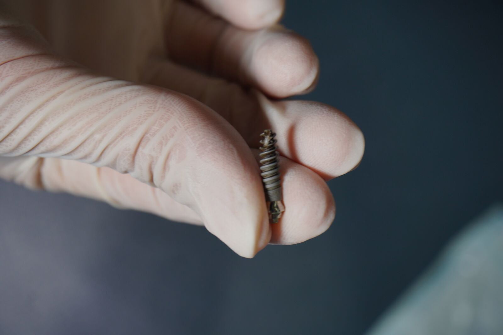 Gloved hand holding a small dental implant screw, close-up detail